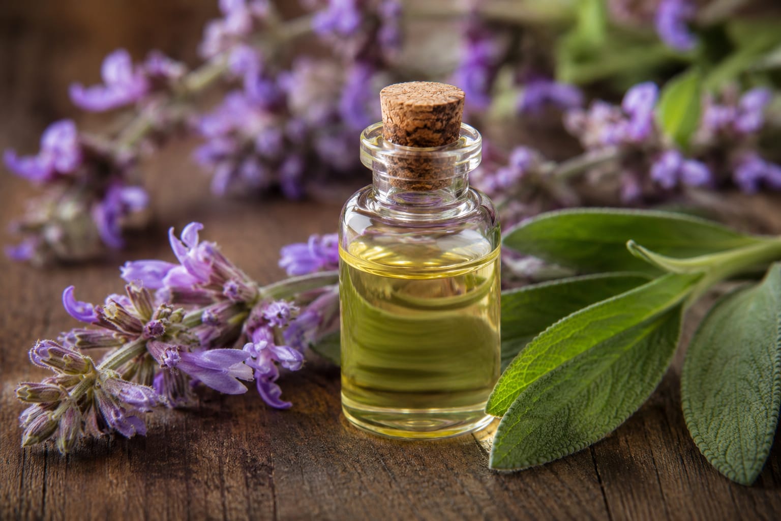 Clary Sage Oil